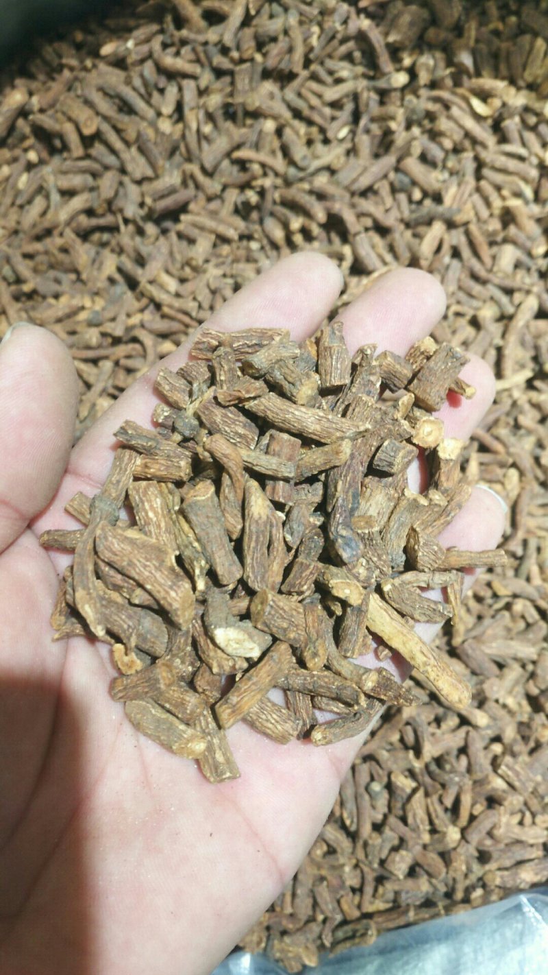 蒲公英根茶片段品质保证