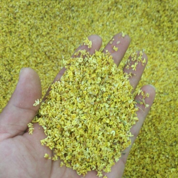 桂花优质食用级500克品质保证
