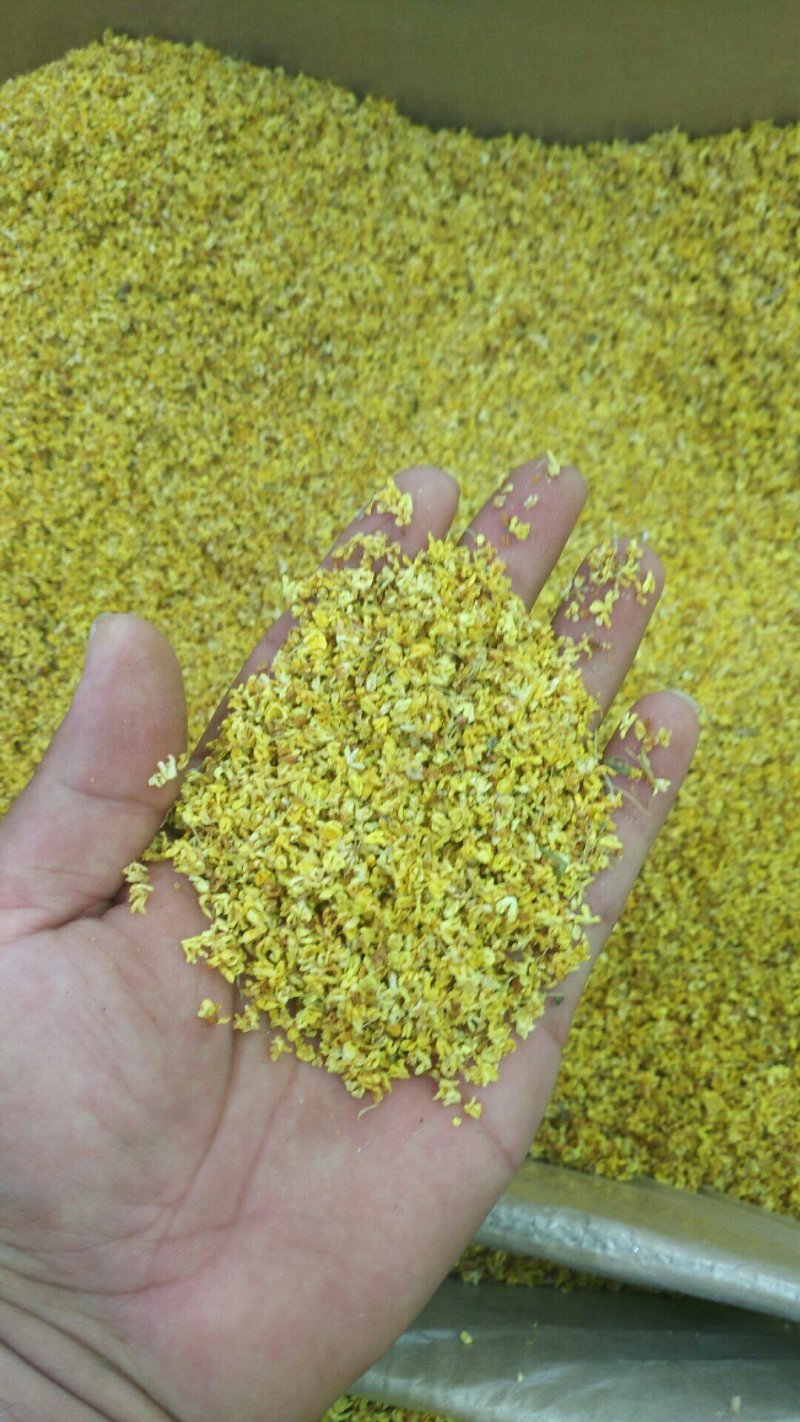 桂花优质食用级500克品质保证