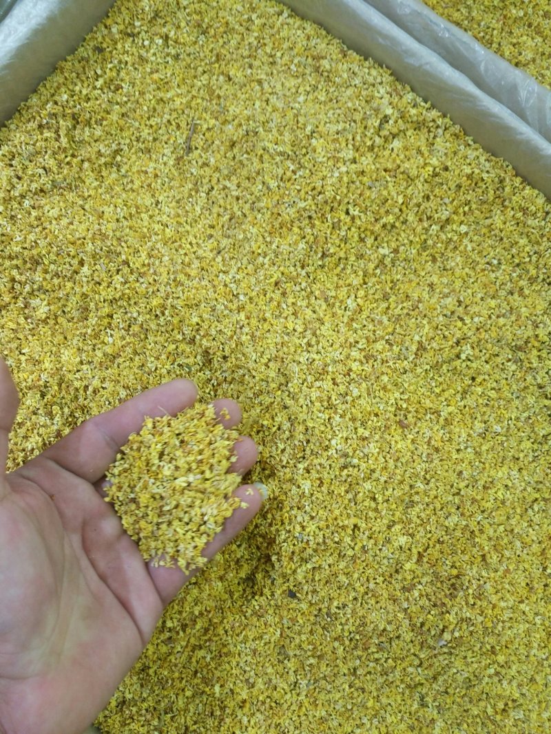 桂花优质食用级500克品质保证