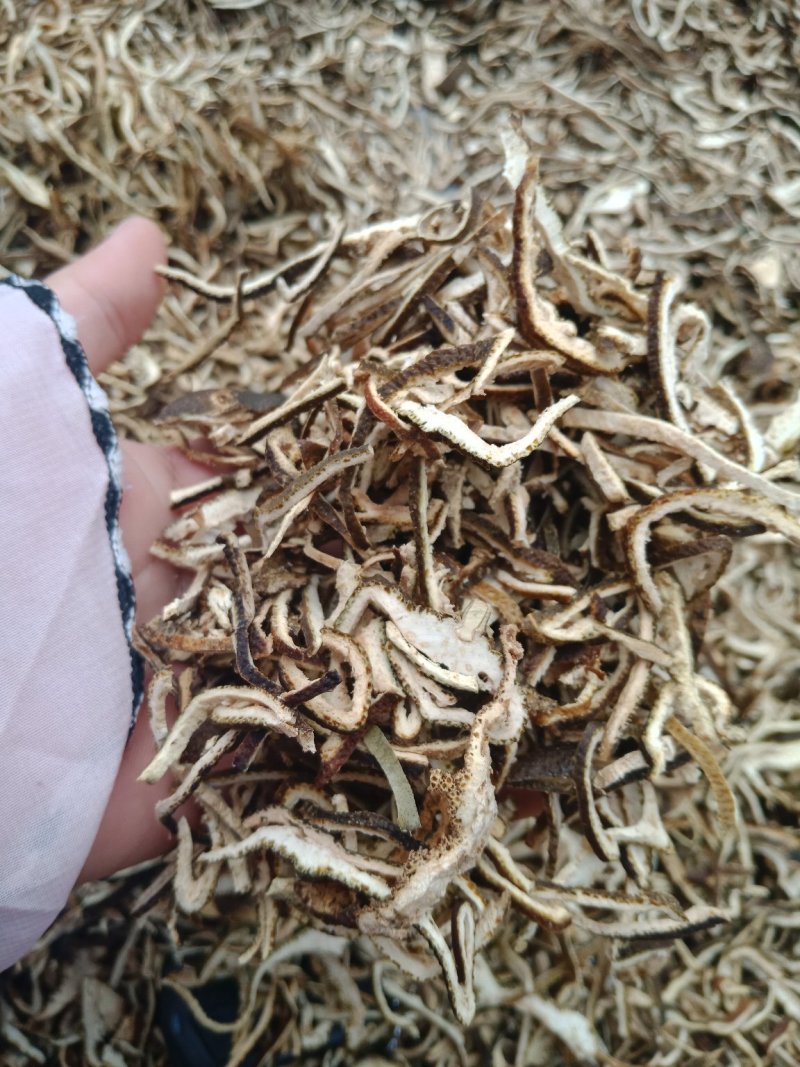桔红陈皮