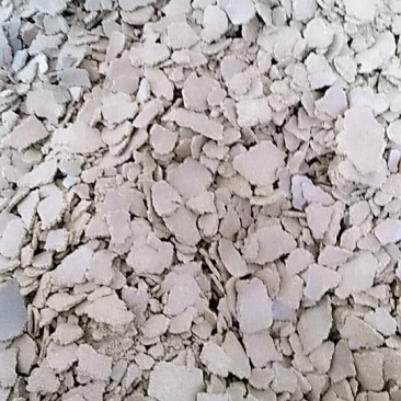 油菜籽菜籽饼大量供应