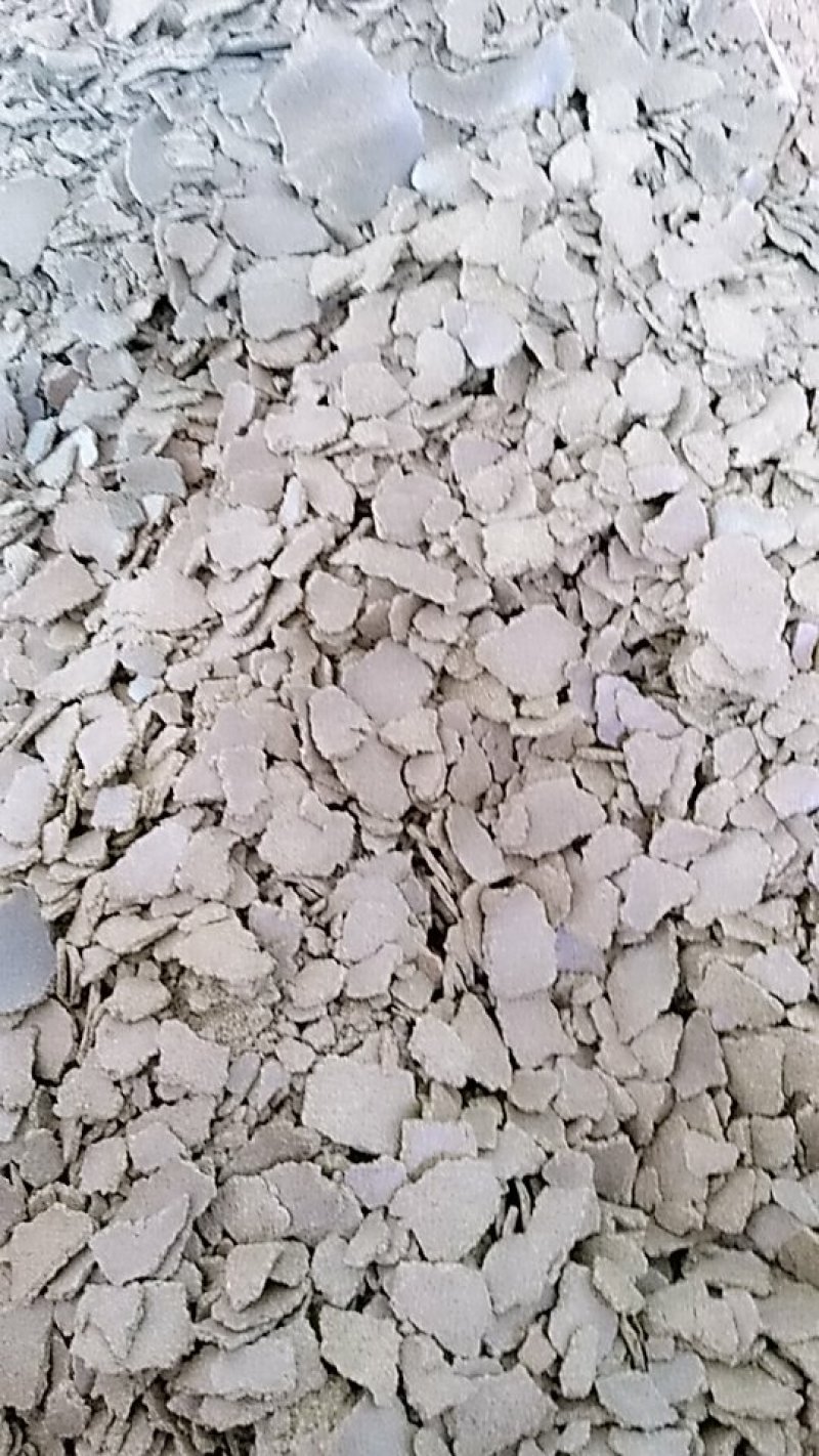 油菜籽菜籽饼大量供应