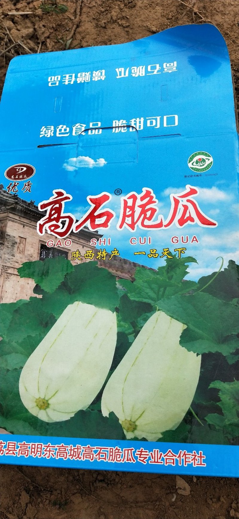 脆瓜