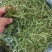 竹叶茶优质无添加品质保证500克包邮