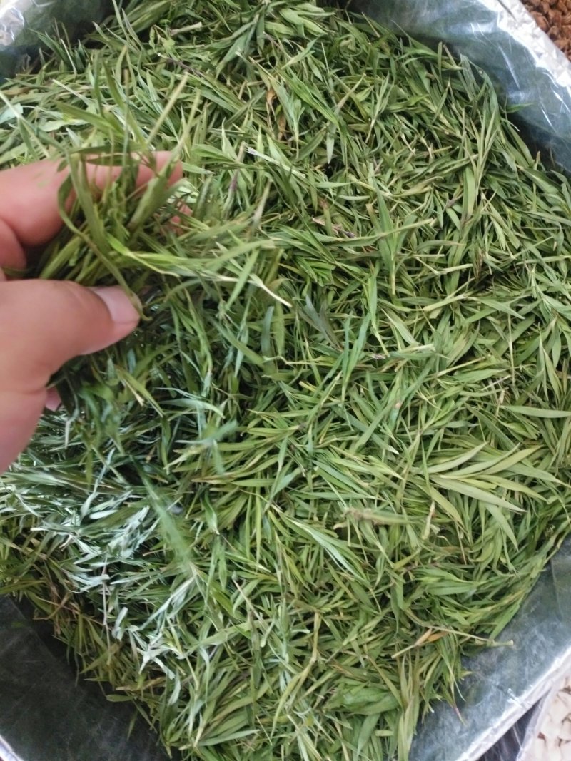 竹叶茶优质无添加品质保证500克包邮