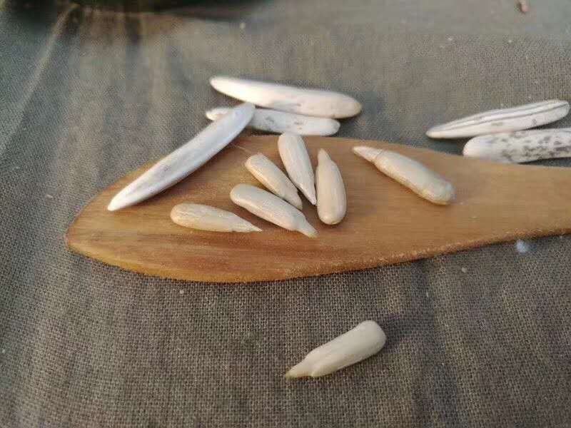 阿克苏马牙牙签瓜子