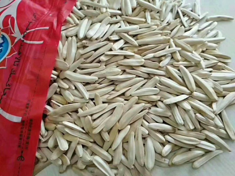阿克苏马牙牙签瓜子