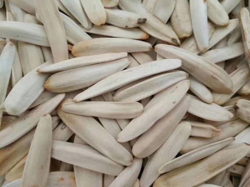 阿克苏马牙牙签瓜子