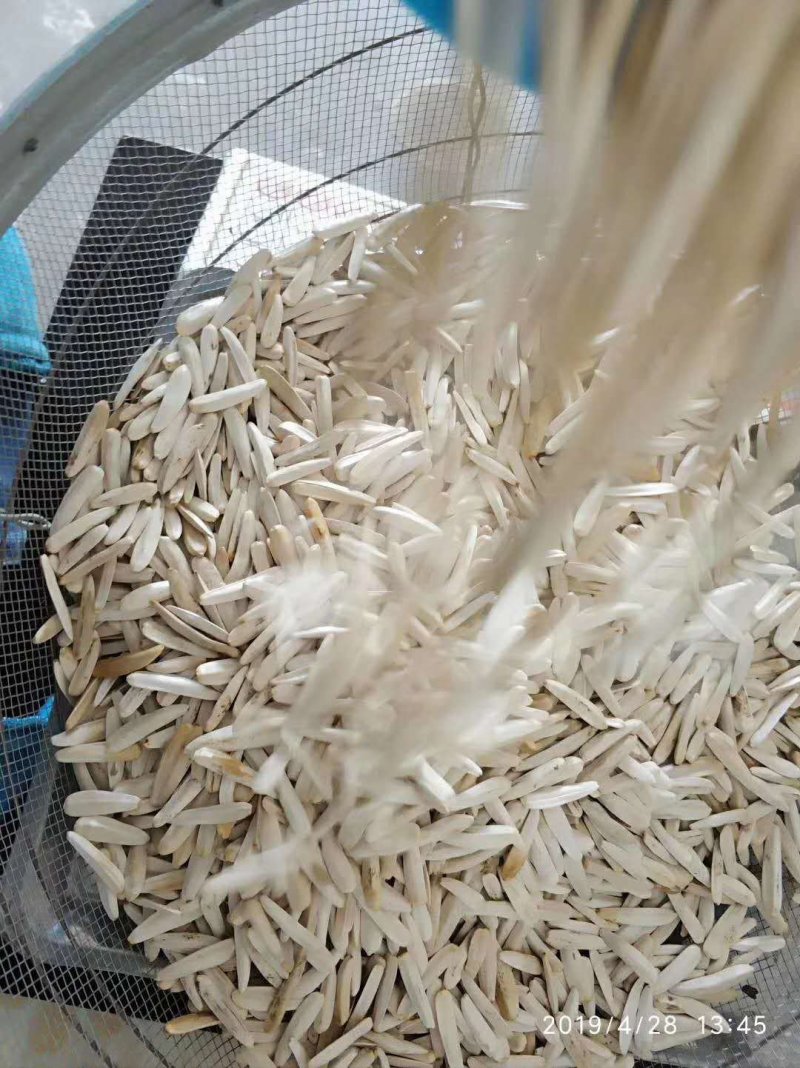 阿克苏马牙牙签瓜子