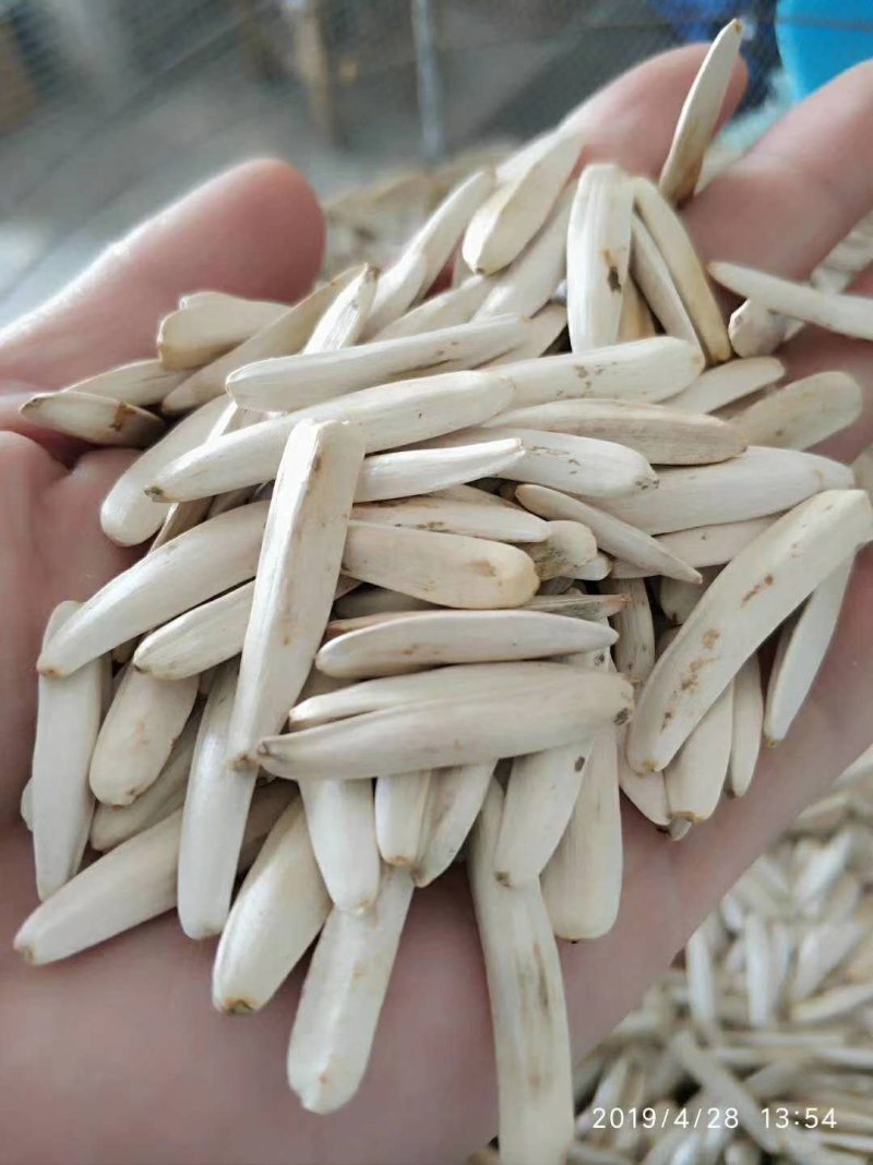 阿克苏马牙牙签瓜子