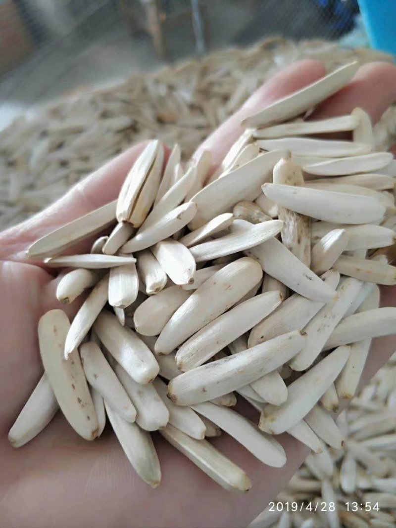 阿克苏马牙牙签瓜子