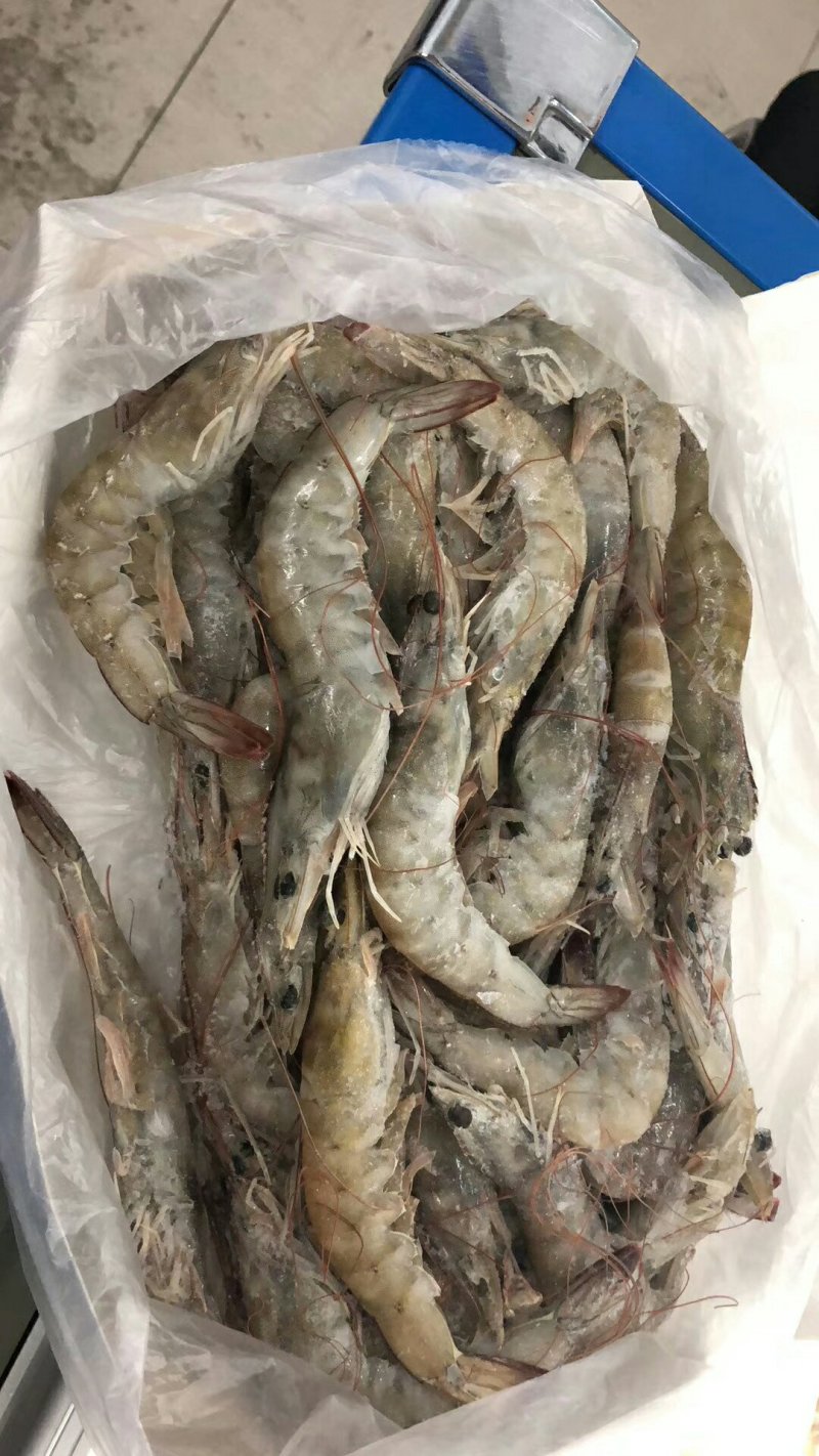 胖子海鲜