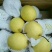 〔雪花梨〕货量充足长期供应【视频看货】代发全国