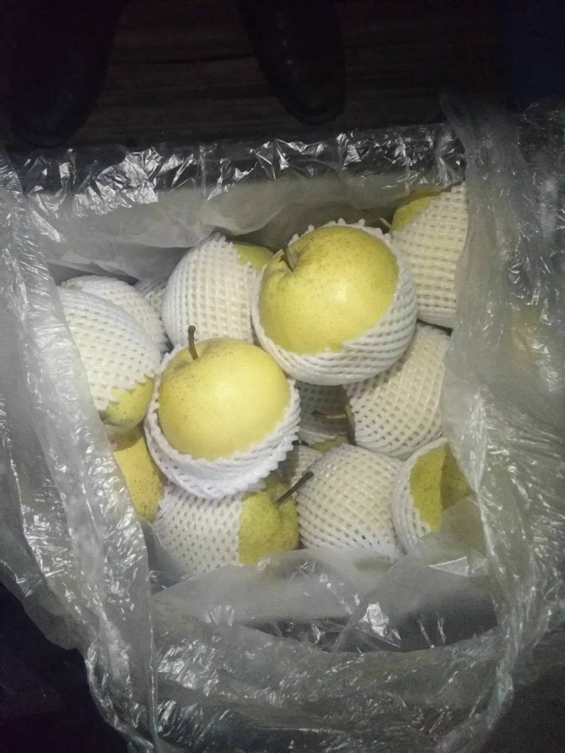 〔雪花梨〕货源充足长期供应【视频看货】代发全国