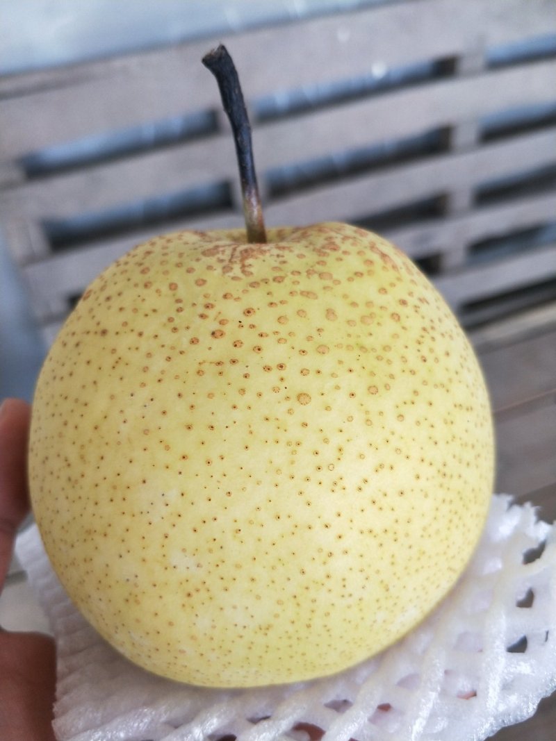 〔雪花梨〕货源充足长期供应【视频看货】代发全国