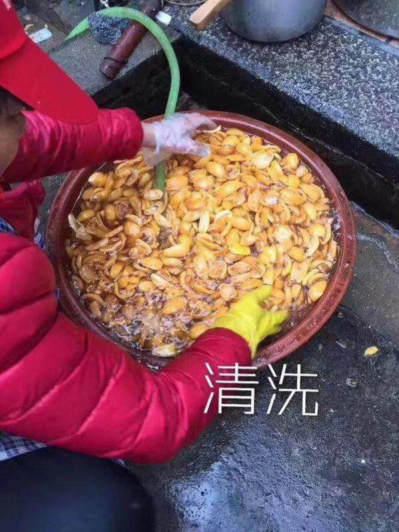 枇杷膏
