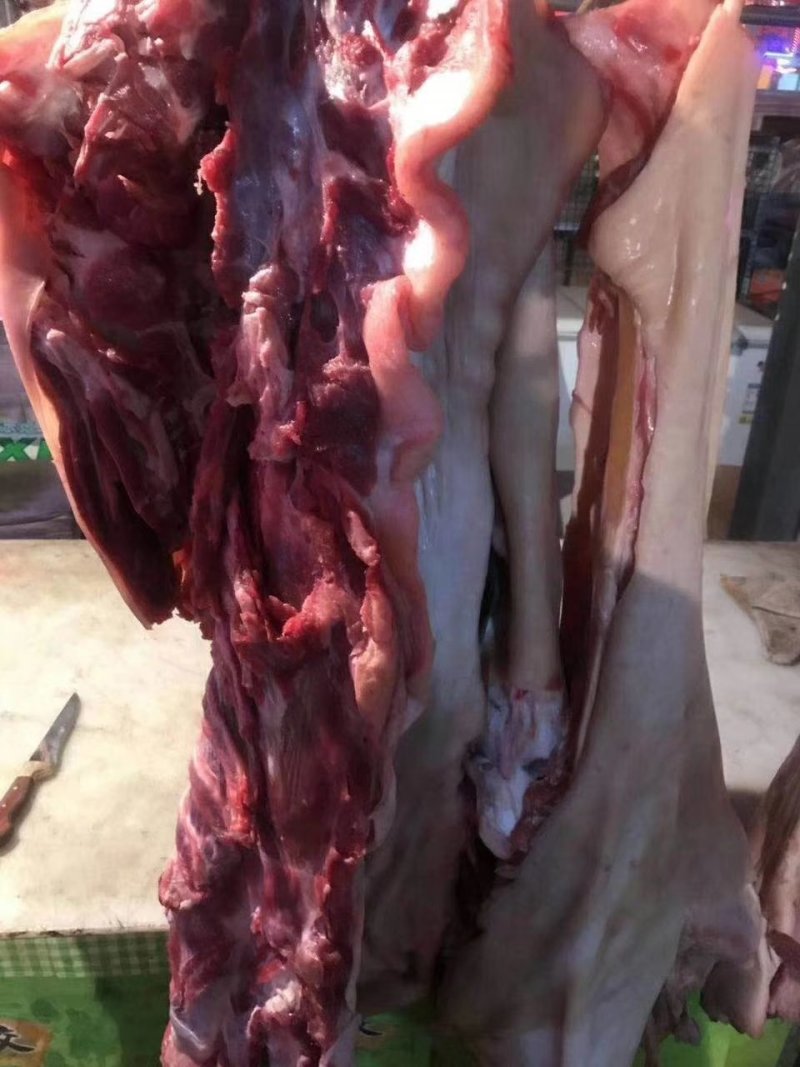 驴肉