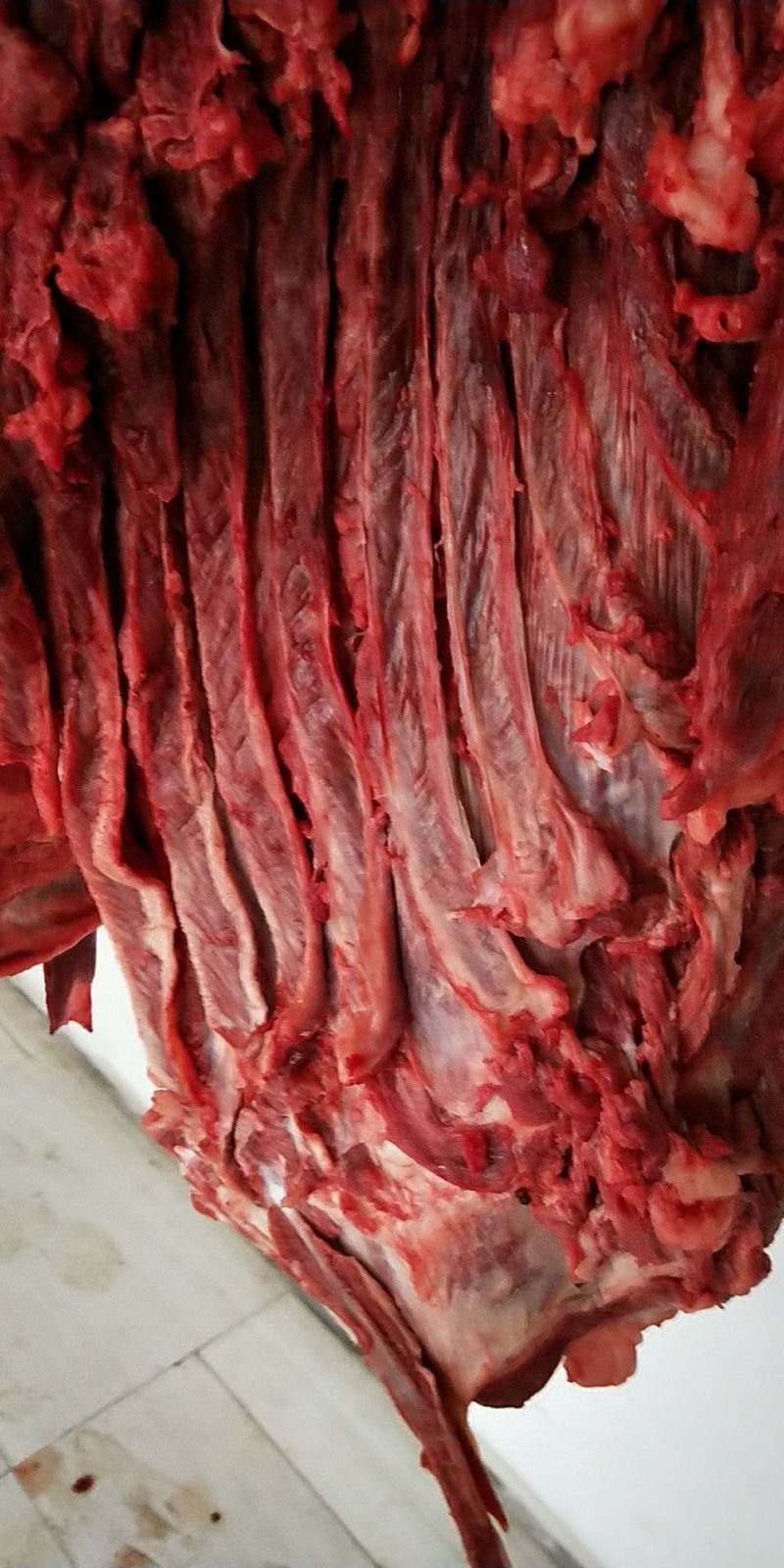 驴肉