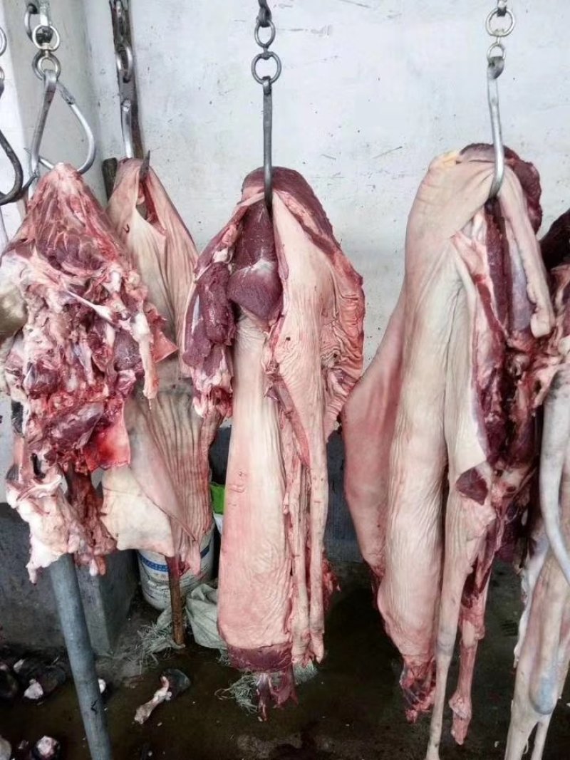 驴肉
