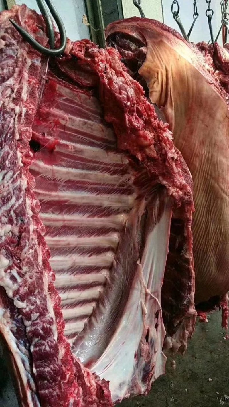 驴肉