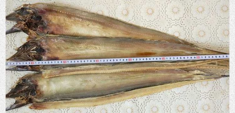 鳗鱼干
