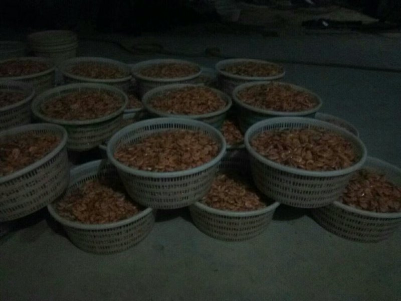 烘干烤虾，来自大海的馈赠食品。美味可口。过节送礼之佳品