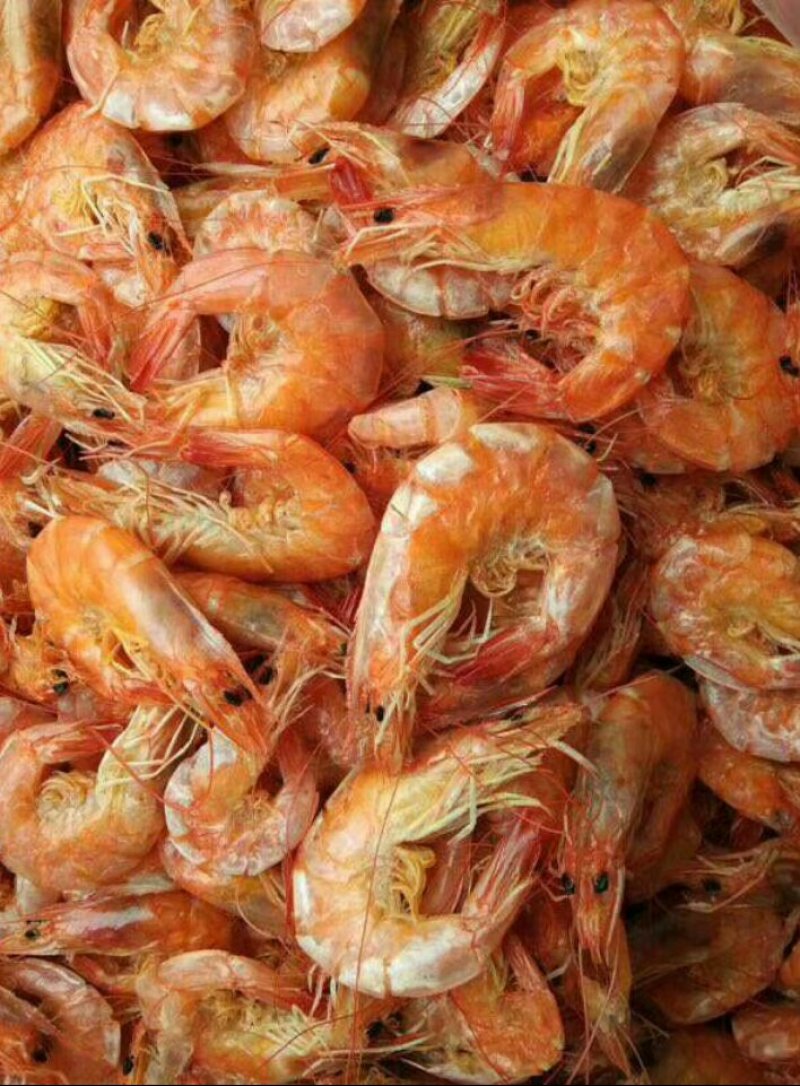 烘干烤虾，来自大海的馈赠食品。美味可口。过节送礼之佳品
