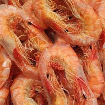 烘干烤虾，来自大海的馈赠食品。美味可口。过节送礼之佳品