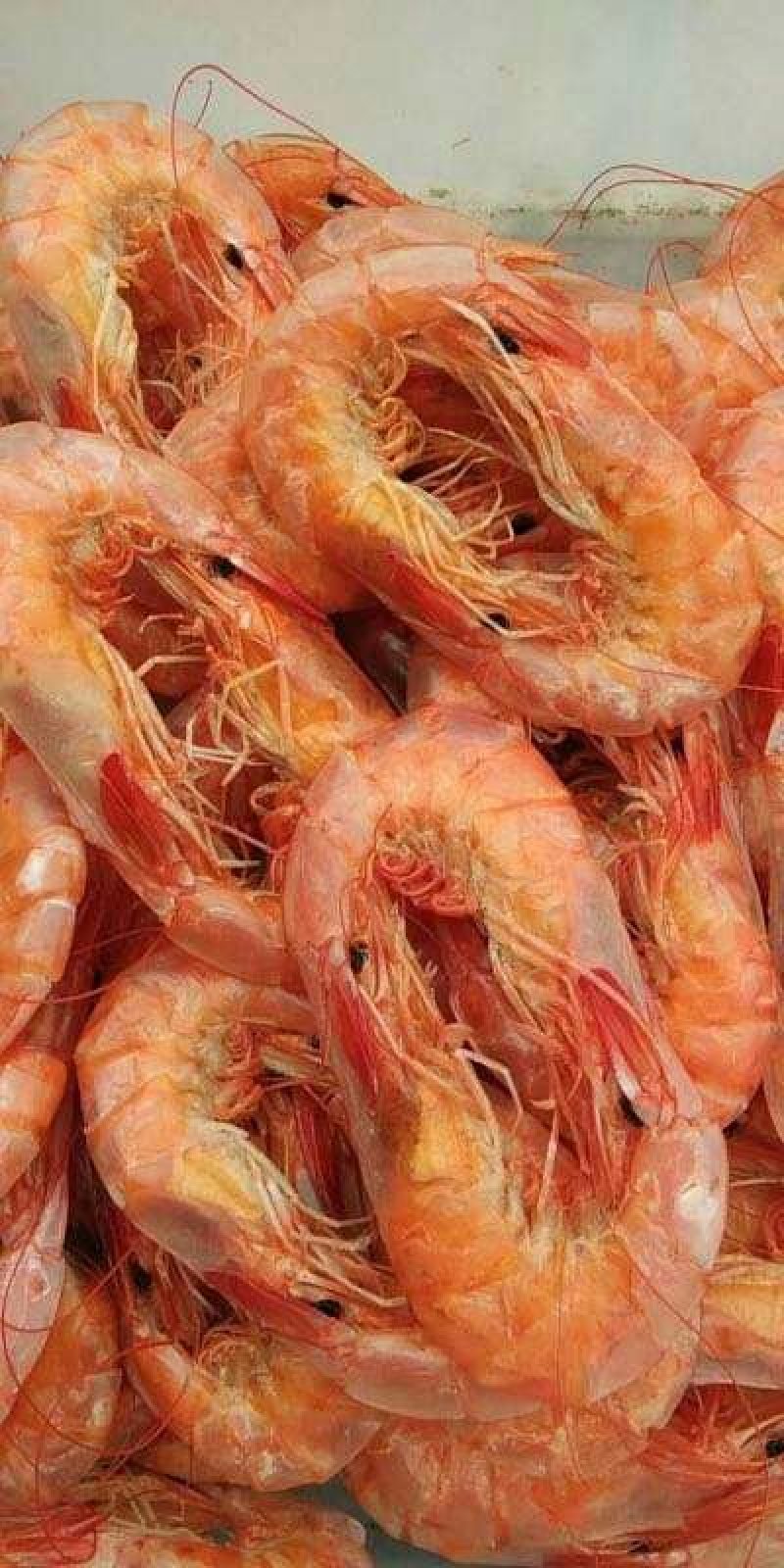 烘干烤虾，来自大海的馈赠食品。美味可口。过节送礼之佳品