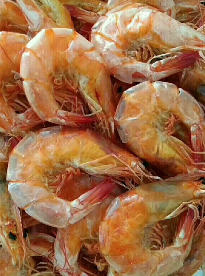 烘干烤虾，来自大海的馈赠食品。美味可口。过节送礼之佳品