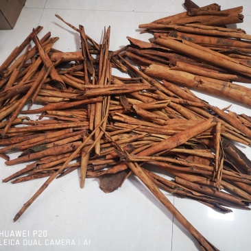 大量烟桂皮供应