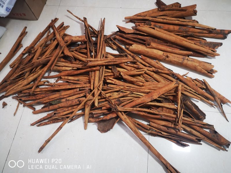 大量烟桂皮供应