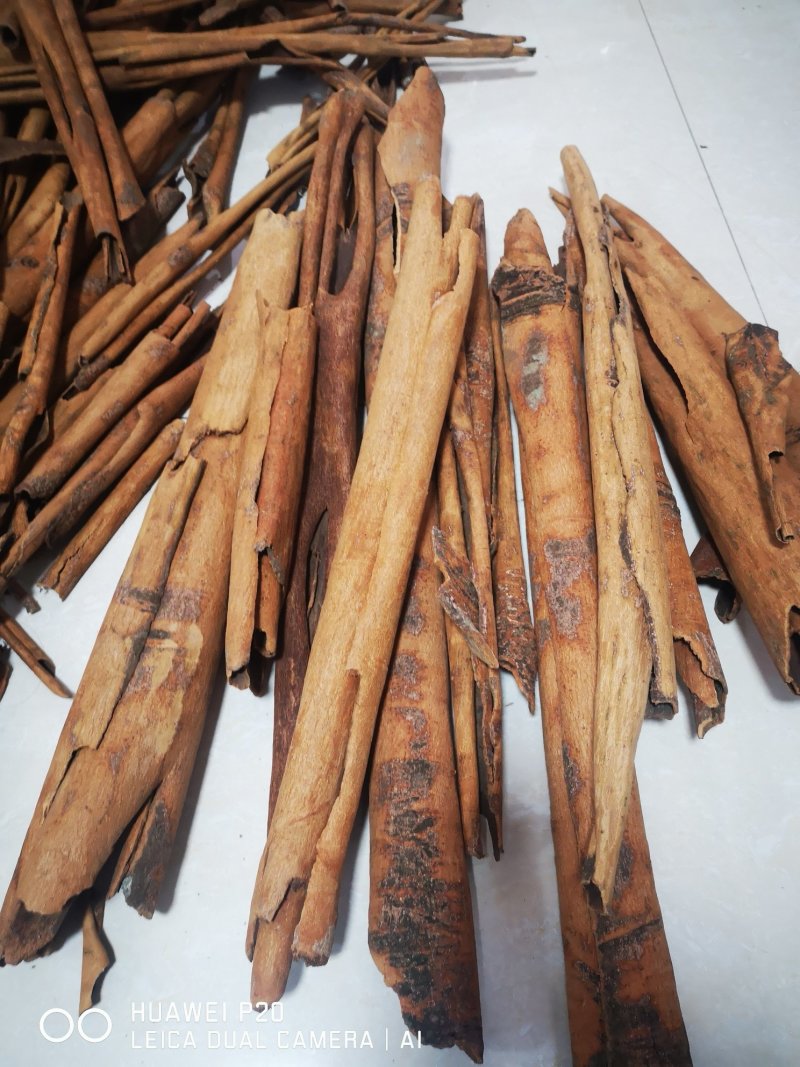 大量烟桂皮供应