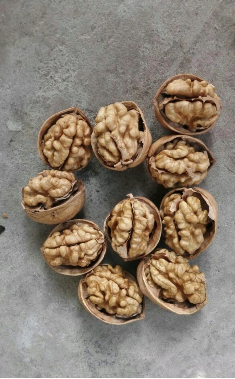 青皮核桃