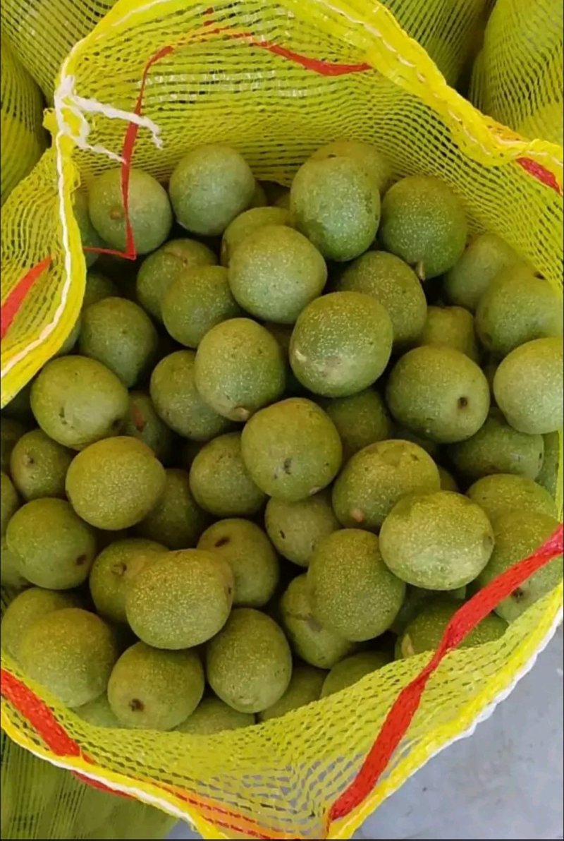 青皮核桃