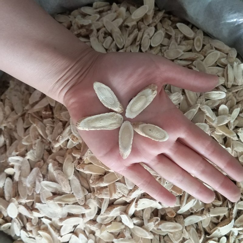 振兴药材批发供应选装指甲黄芪片产地直供一手货源全国发货