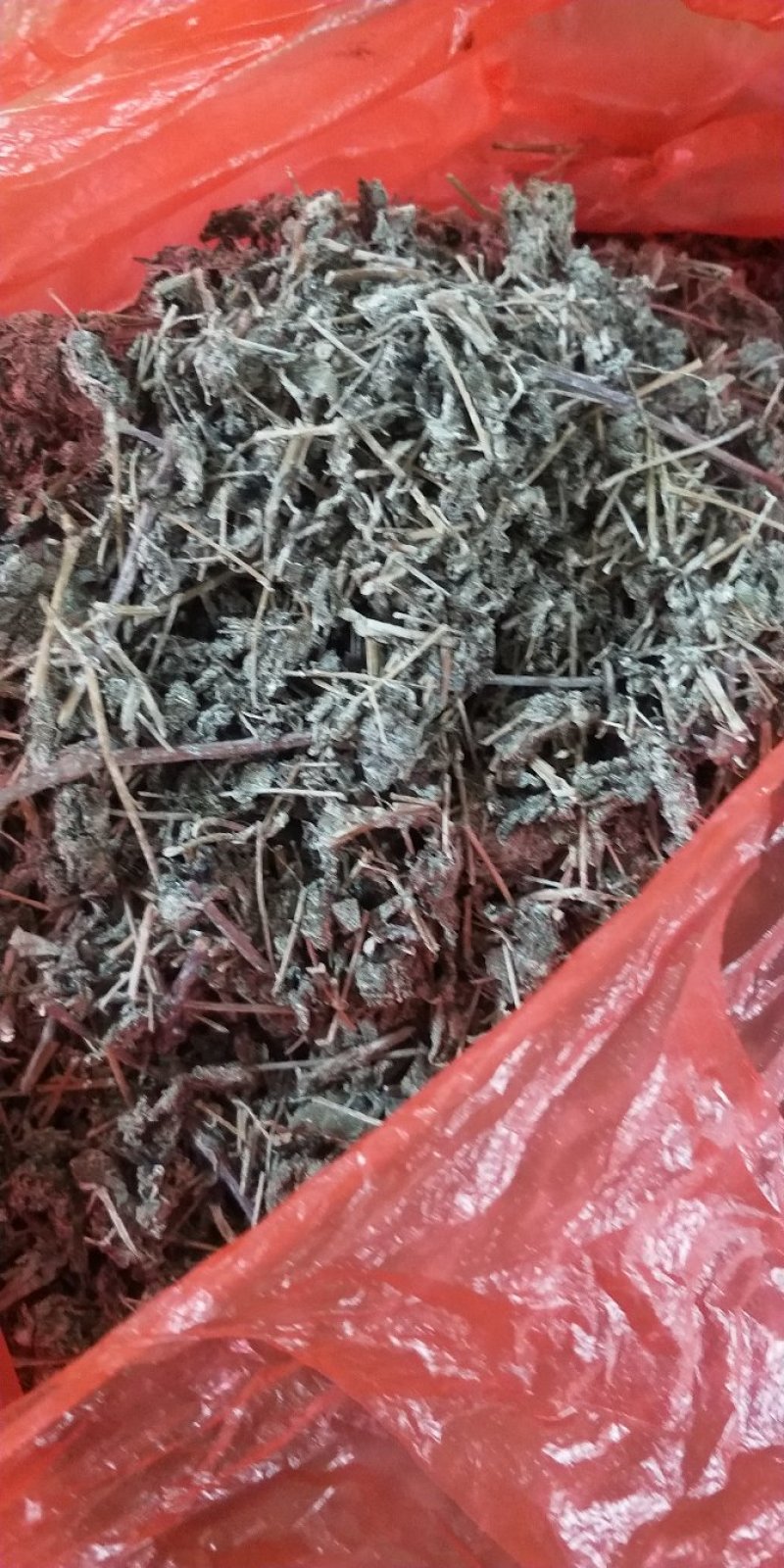 端午莓茶，也叫藤茶
