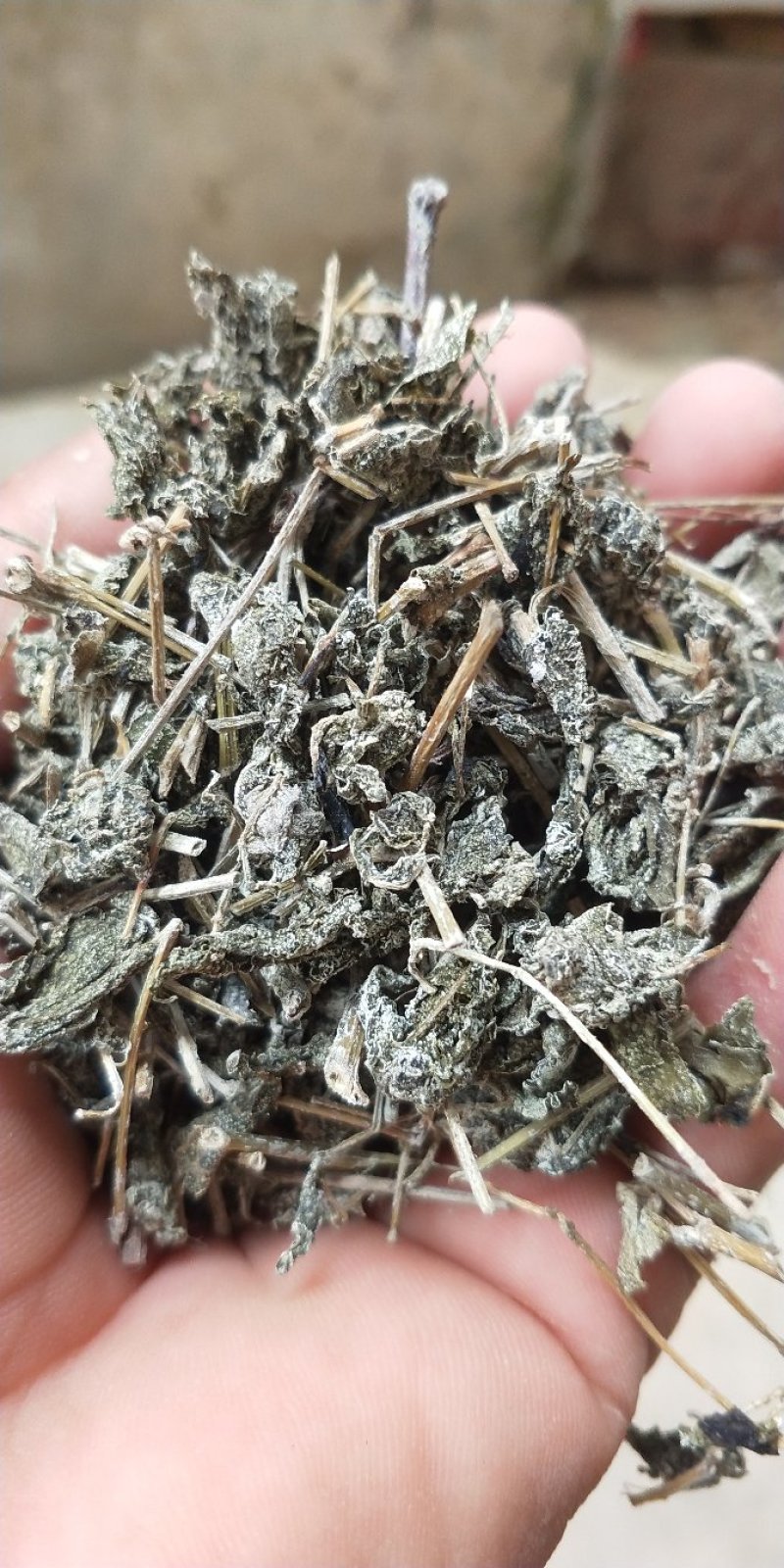 端午莓茶，也叫藤茶