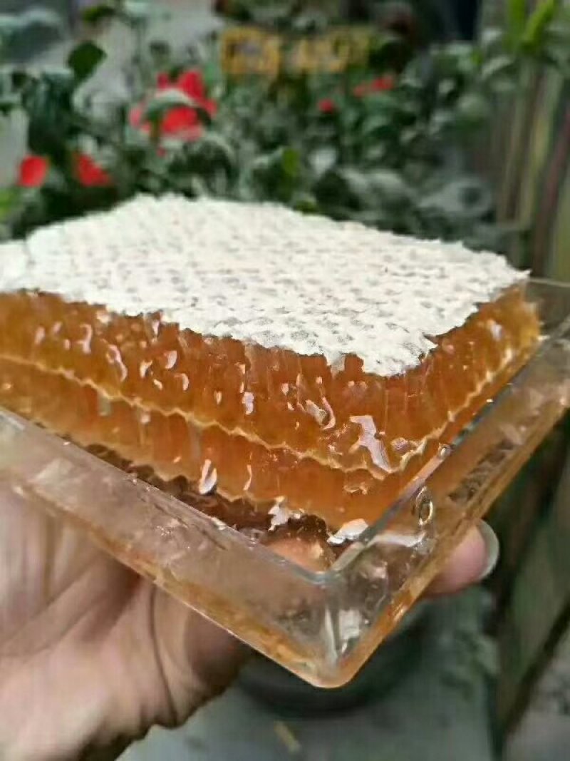 土蜂蜜，贵州农村大山里的百花蜜，保证现取新鲜
