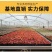 ✅精品多肉多肉植物绿植防辐射花卉盆栽多肉植物批发