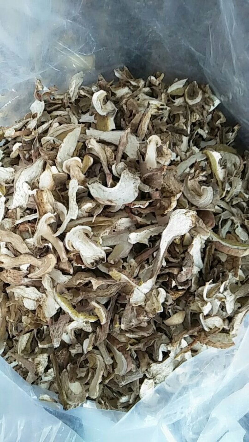 牛肝菌美味牛肝菌10斤包邮