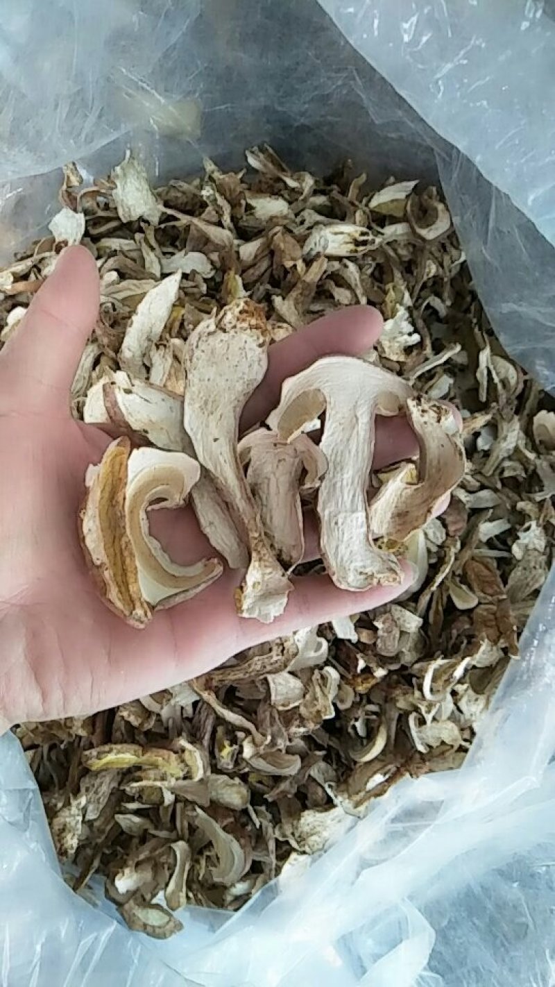 牛肝菌美味牛肝菌10斤包邮