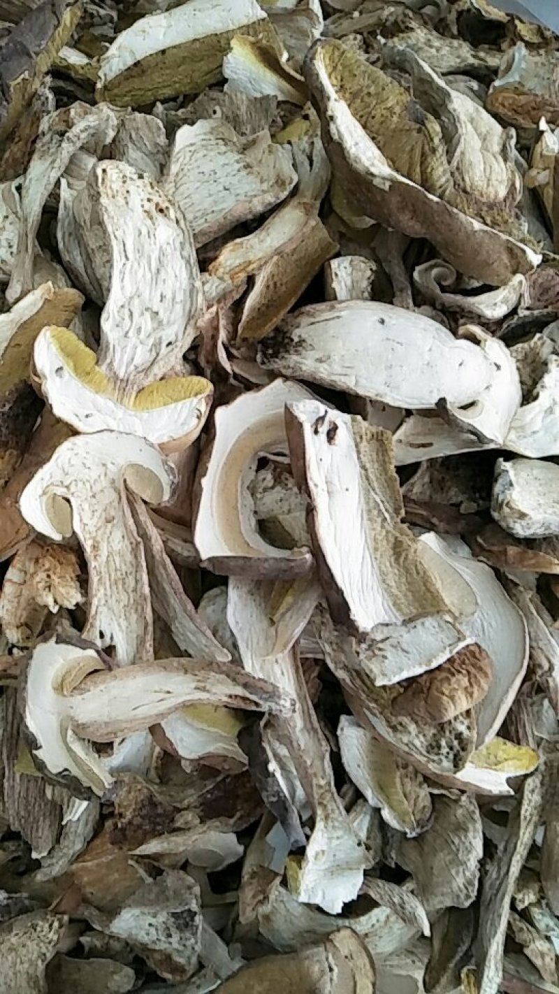 牛肝菌美味牛肝菌10斤包邮