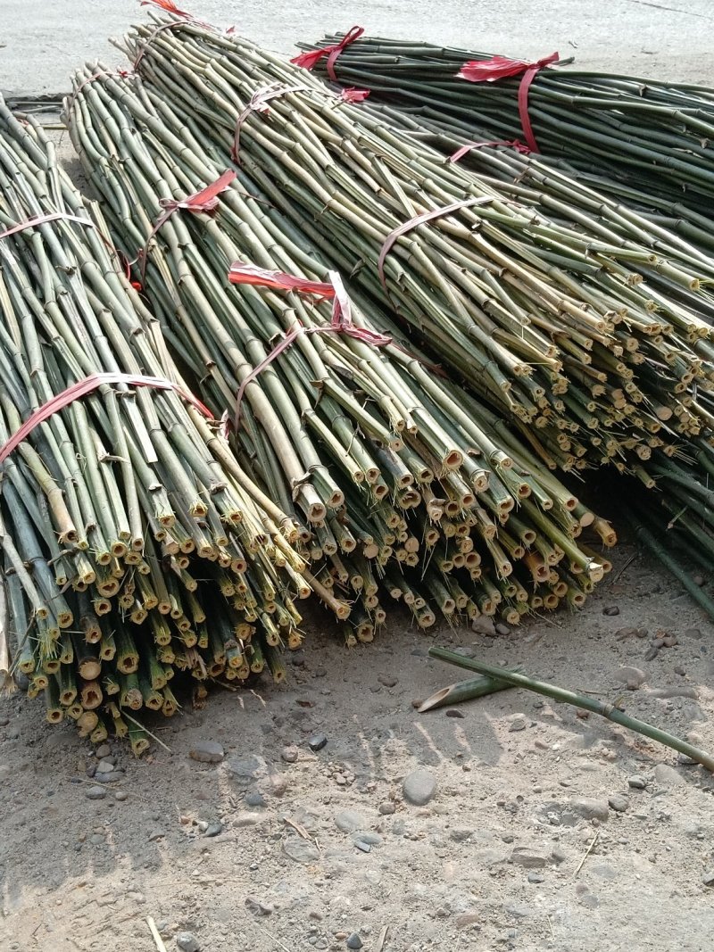 长期供应优质的菜架竹竿，质量保证，价格实惠，欢迎各位老板