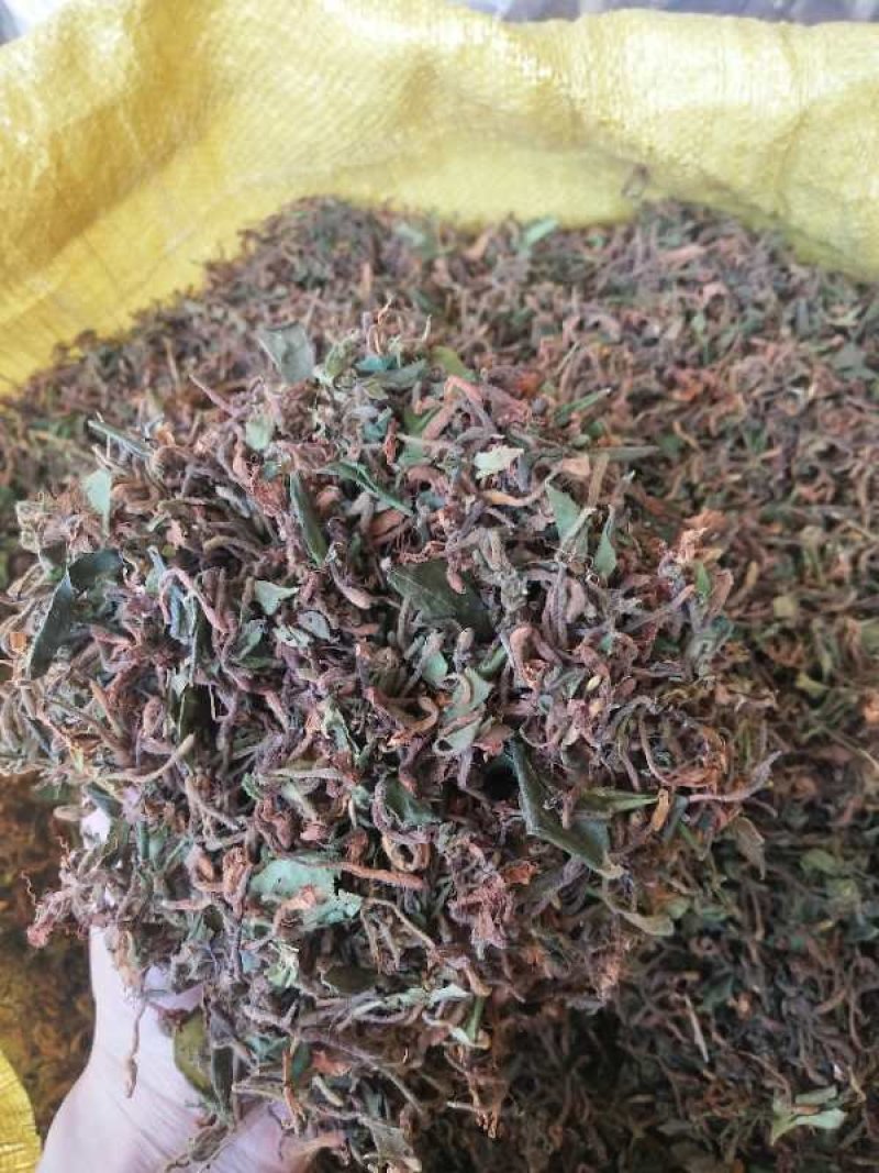野生金银花