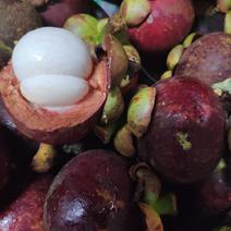 泰国进口新鲜山竹5斤一件新鲜热带水果6A大果