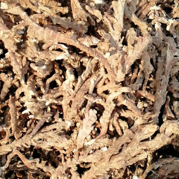 长期全国收购石菖蒲干货，有货的请联系吧！