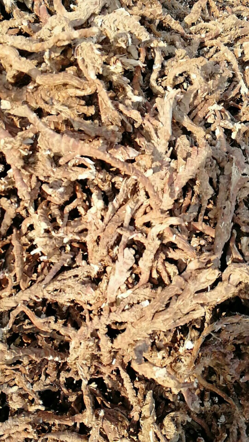 长期全国收购石菖蒲干货，有货的请联系吧！