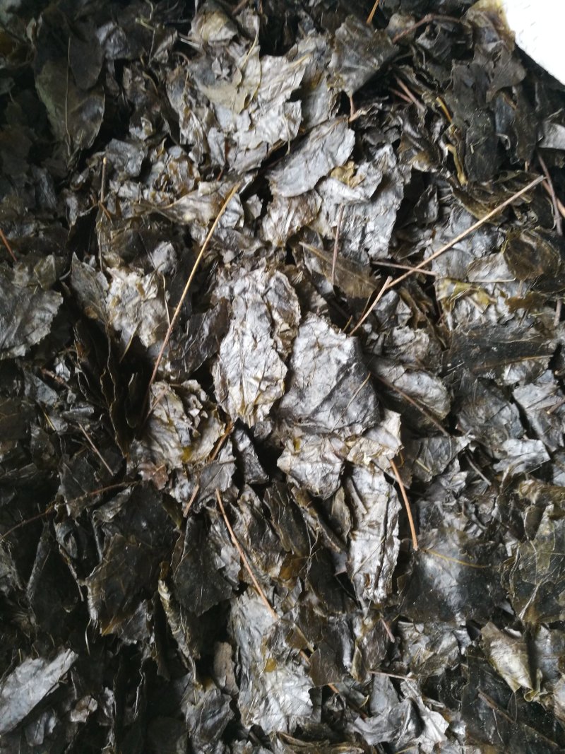 苦丁茶，小叶，苦丁茶老叶，线上交易，有保障。